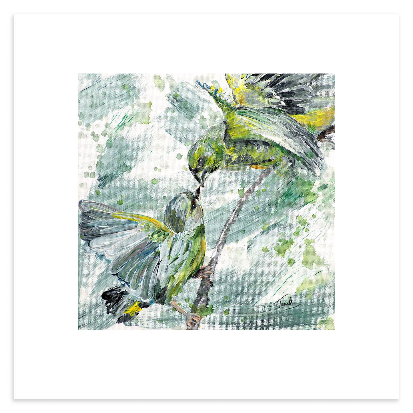 Greenfinch