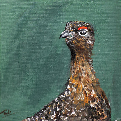 Grouse On Green - Framed