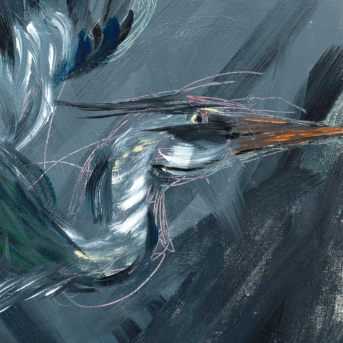 Heron