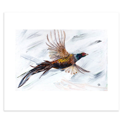 Pheasant In Flight