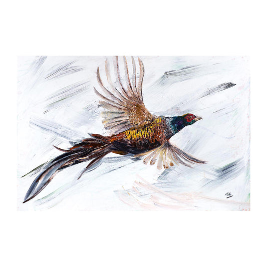 Pheasant In Flight 30" x 20" original