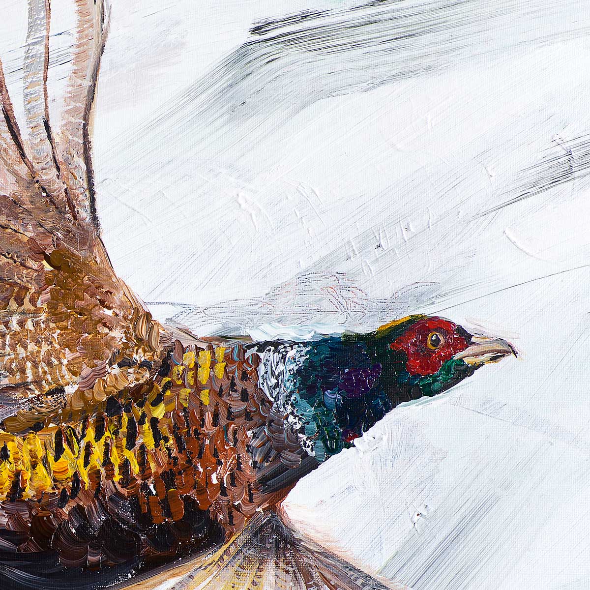 Pheasant In Flight 30" x 20" original
