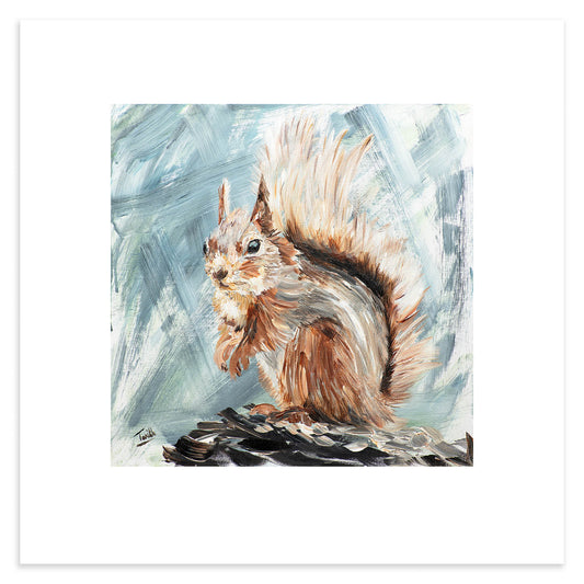 Red Squirrel