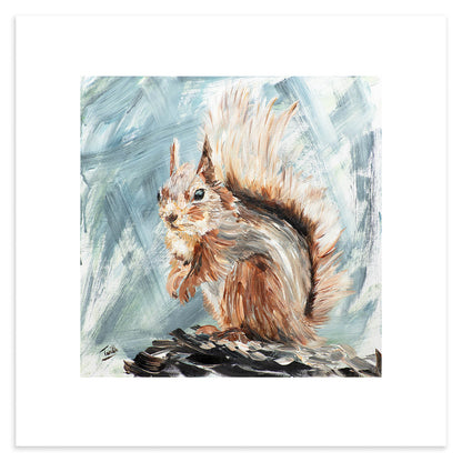Red Squirrel