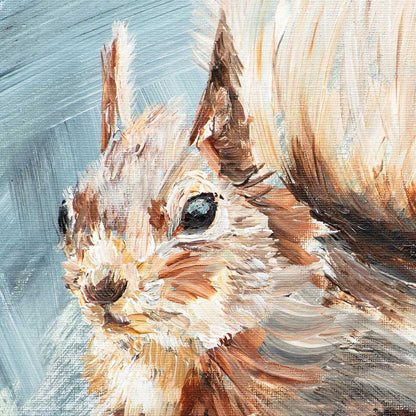 Red Squirrel