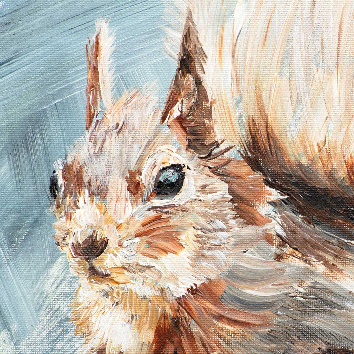 Red Squirrel