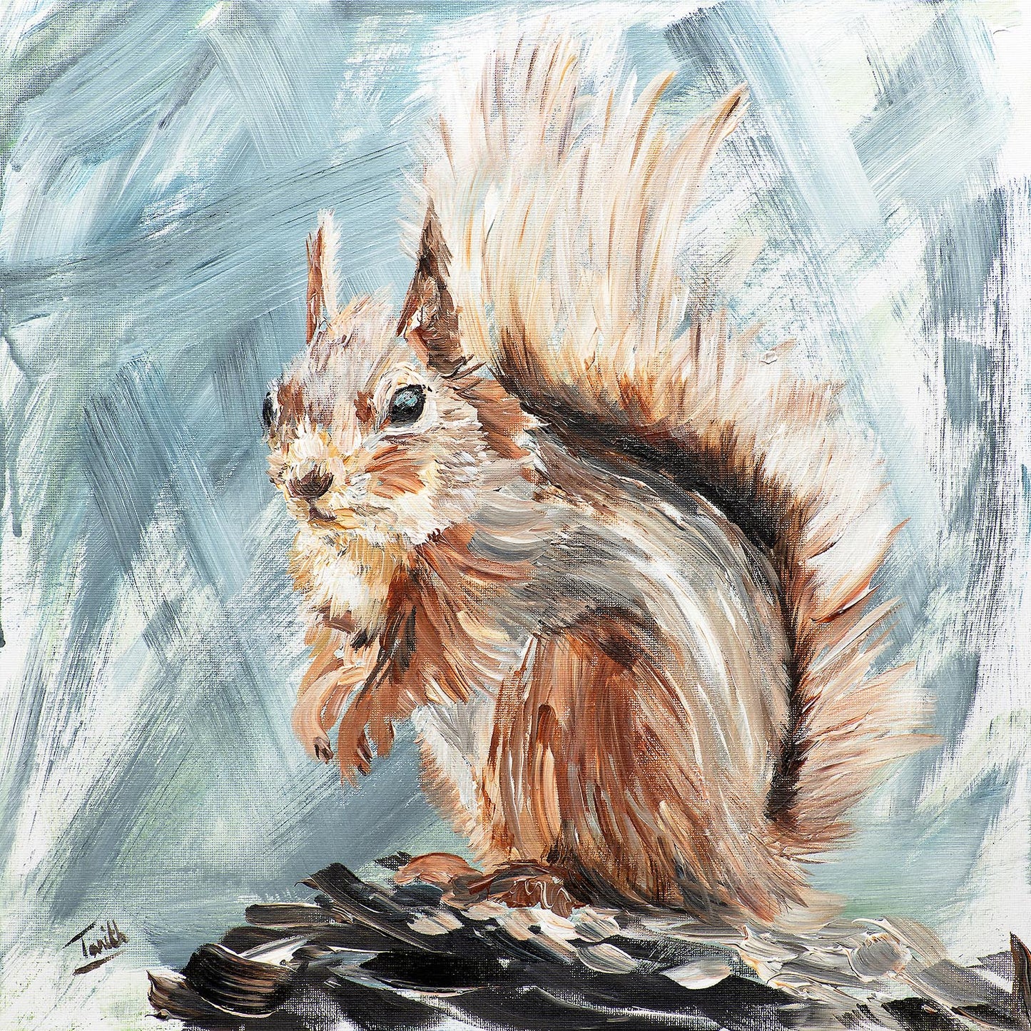 Red Squirrel 16" x 16" original
