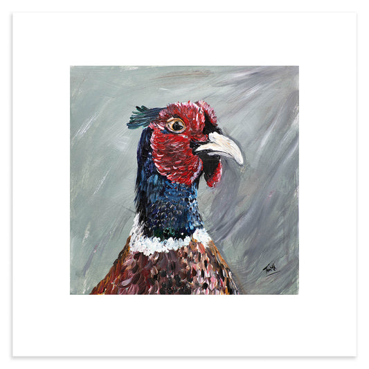 Pheasant Study