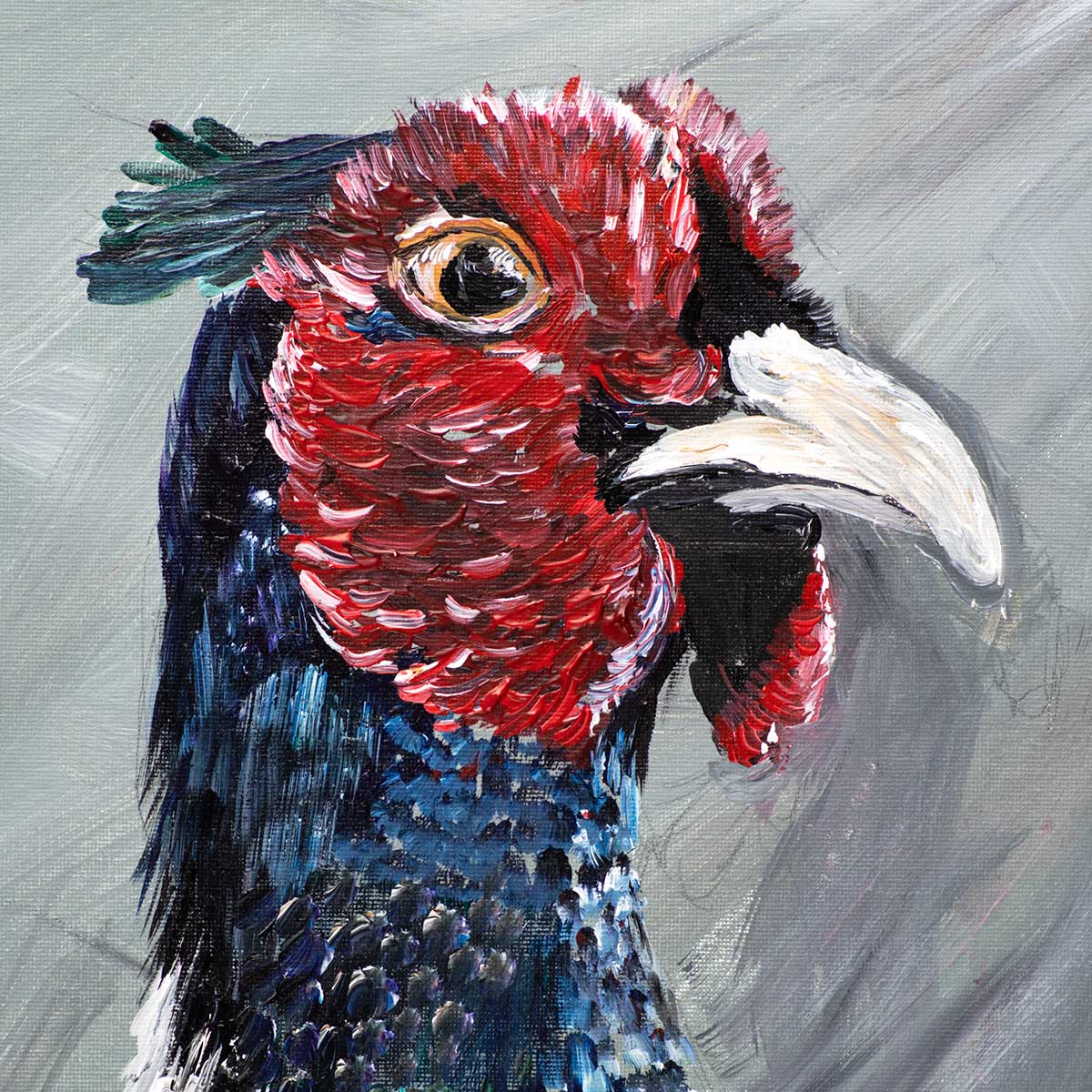 Pheasant Study