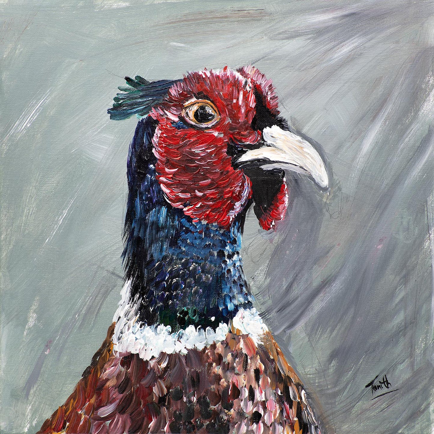 Pheasant Study  16" x 16" original
