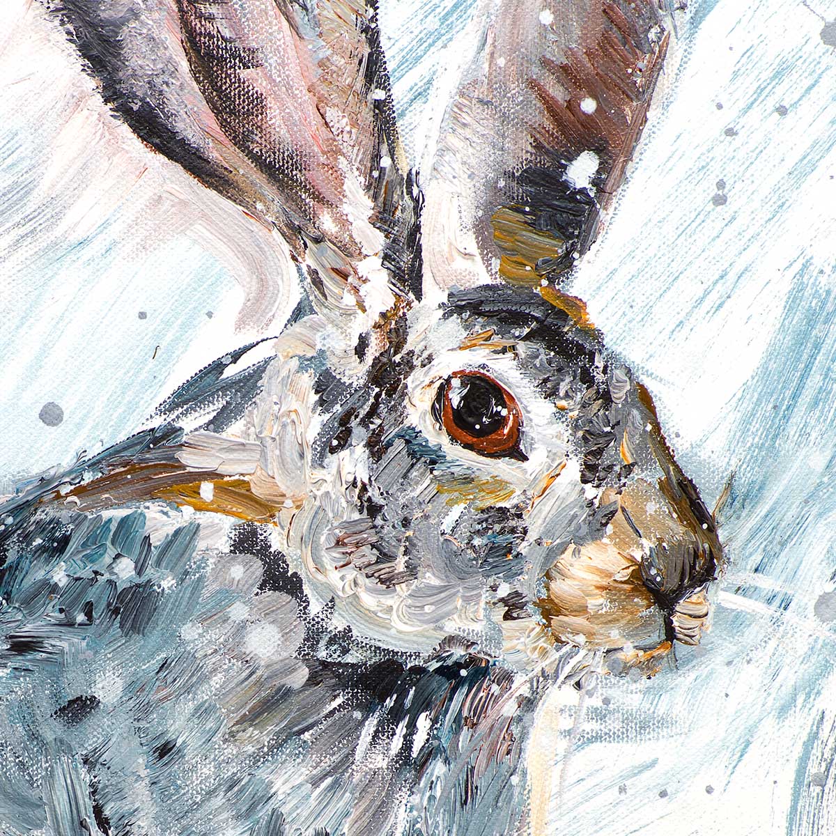 Winter Hare